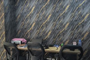 Wakad Office Livenera